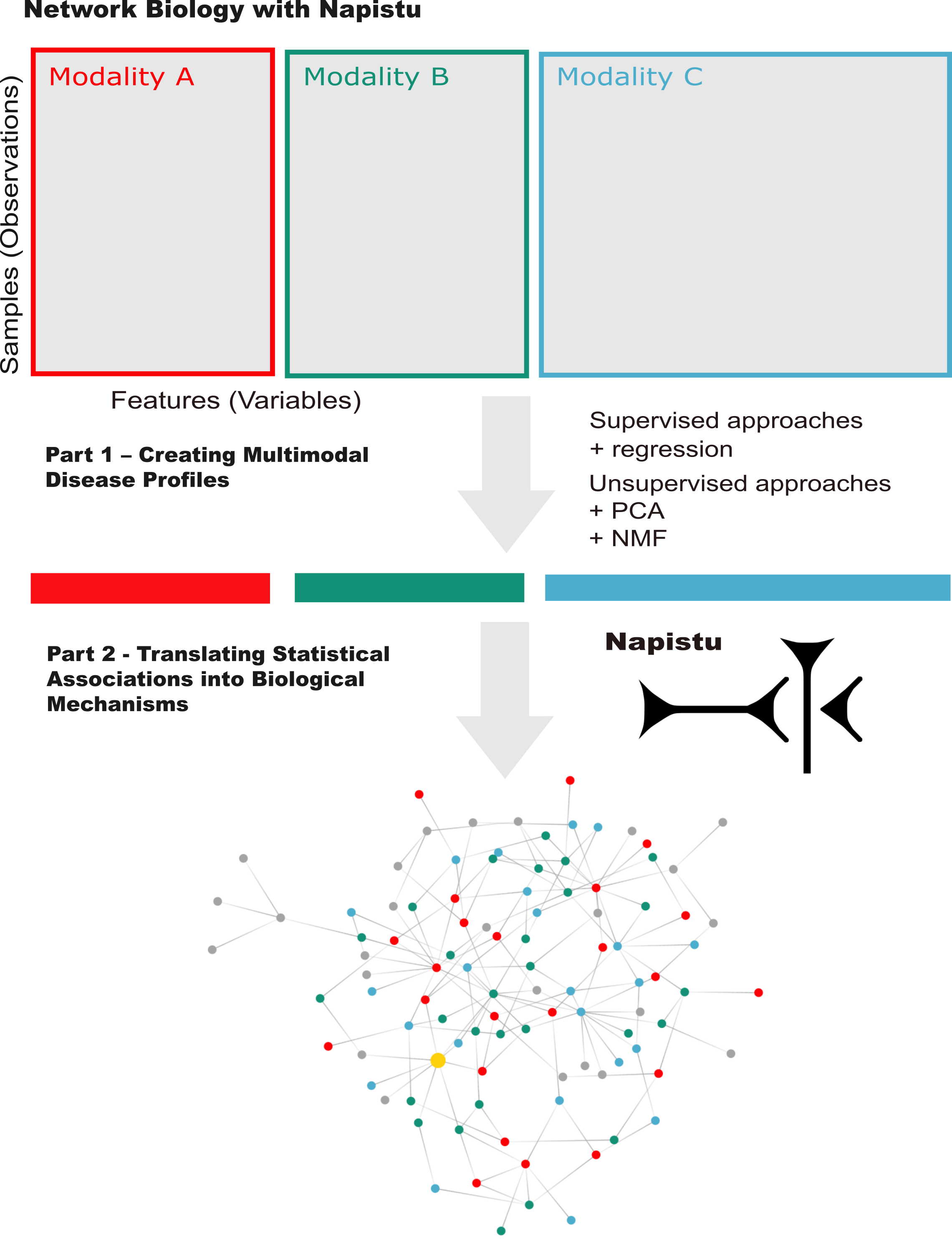 Overview of the Network Biology with Napistu blog series where multimodal data is formatted as molecular profiles, overlaid on genome-scale graphs to find common regulators