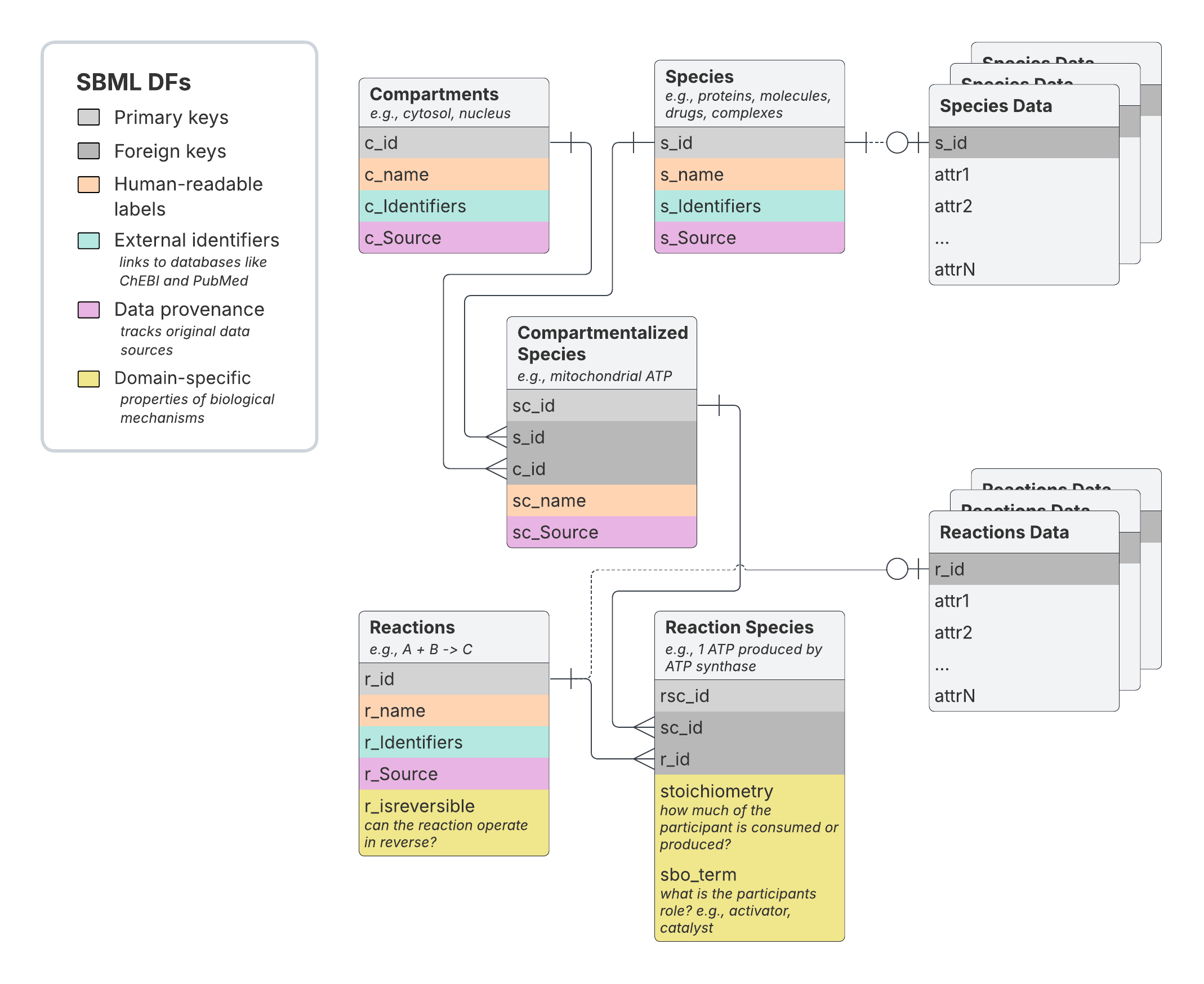 The SBML_dfs database schema